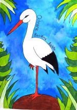 Svítková Vanessa.jpg